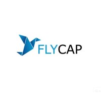 FlyCap logo - Similar company to Plasma Capital