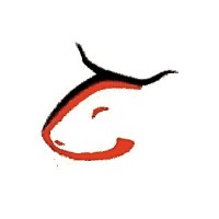 Toros Consulting logo - Similar company to Toros