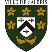 Ville de Salbris logo - Similar company to Ombrapolis