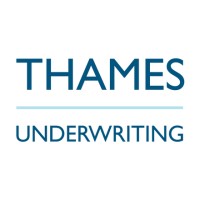 Thames Underwriting Limited logo - Similar company to Netzer Olami