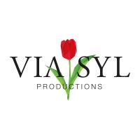 ViaSyl Productions logo - Similar company to Deetailz.