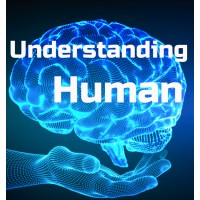 Understanding Human logo - Similar company to Spark: A Camp For Adults