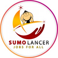 Sumo lancer logo - Similar company to Sumo Research Solutions
