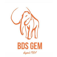 Bureau des sports - GEM logo - Similar company to Bde Gem Sky'Flow
