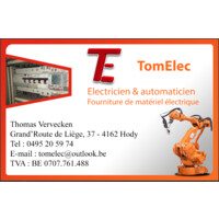 TomElec logo - Similar company to Domintell
