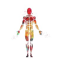 CB Health & Fitness logo - Similar company to Hulpmiddelbezorgd.Nl