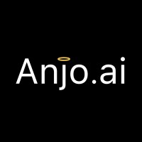 Anjo.ai logo - Similar company to Snacksafely.Com