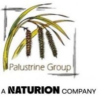 Palustrine Group, LLC logo - Similar company to Three Oaks Engineering