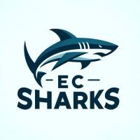 EC SHARKS PVT LTD logo - Similar company to Digivirtuo - Tiktok Shop Pioneers
