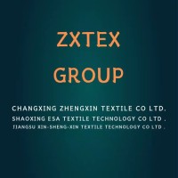 ZXTEX GROUP(changxing zhengxin textile co ltd)(Shaoxing Esa textile technology co ltd) logo - Similar company to Wego Medical Uk