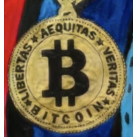 Bitcoin Treasuries logo - Similar company to Teonite