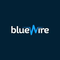 Blue Wire logo - Similar company to Bluewire Llc