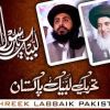 Tehreek e Labbaik Pakistan logo - Similar company to Sardar Yasin Malik Professional Development Centre - University Of Karachi