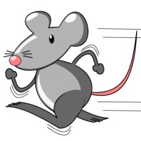 Squeakworks