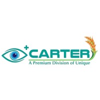 CARTER UNIQUE GROUP logo - Similar company to Innbell
