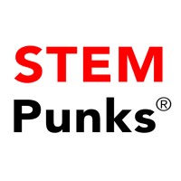 STEM Punks logo - Similar company to Mgz Consulting Llc