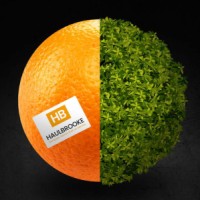Haulbrooke logo - Similar company to Briggs Fire & Security