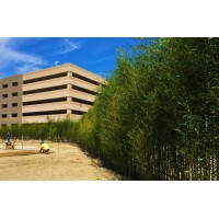 Cape May Bamboo Farms logo - Similar company to Cape May County Library