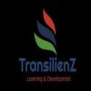 TransilienZ Learning & Development logo - Similar company to Alpha Training Companies