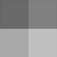 GrayCode Analytics logo - Similar company to Trouvent Solutions