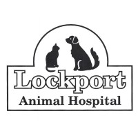 Lockport Animal Hospital, P.C.