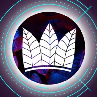 Łódź Jungle Web logo - Similar company to Crossweb.Pl