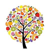 Naturallis Frutas logo - Similar company to Natural Essence