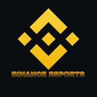 Binance ESPORTS logo - Similar company to Viridis Arcus Esports