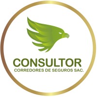 Consultor SAC logo - Similar company to Stf Water