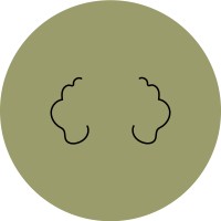Dog Child logo - Similar company to The Practice Lab