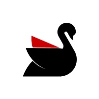 Cygnet Systems