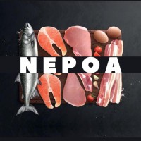 NEPOA logo - Similar company to Nuquali - Núcleo De Estudos Em Qualidade Na Indústria De Alimentos