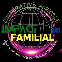 IMPACT FAMILIAL 241 logo - Similar company to Witech Gabon Online (Wireless Technology)