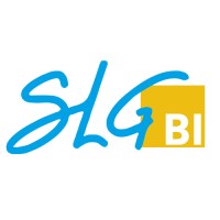SLG BI logo - Similar company to Ntico Services