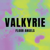 Valkyrie Floor Angels logo - Similar company to Of-Us
