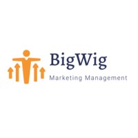 BigWig Marketing Management logo - Similar company to Trident Information & Technologies Limited