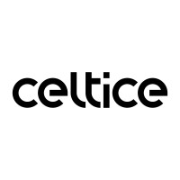 CELTICE logo - Similar company to Alcea Engineering