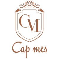 Capmes logo - Similar company to Yrd İstanbul