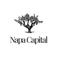 Napa Capital logo - Similar company to Λ Lambda Feedback