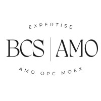 BCS AMO logo - Similar company to Bcs