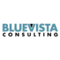 Bluevista Consulting