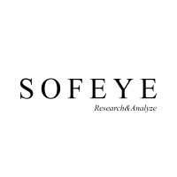 SOFEYE Research&Analyze logo - Similar company to Doğuş Aydın Language Coaching