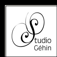 Studio Gehin logo - Similar company to Srm Conseils