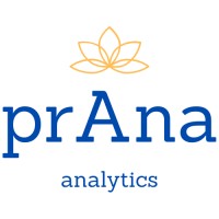 prAna Analytics logo - Similar company to Mayachitra, Inc.