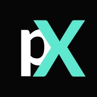 PanaceaX Consulting logo - Similar company to Datica Consulting