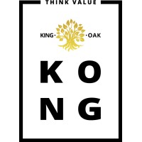 KONGEEG logo - Similar company to Synthosys
