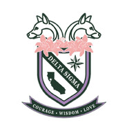 Delta Sigma Sorority logo - Similar company to The B-Side