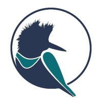 Kingfisher Metals Corp. logo - Similar company to Azimut Exploration Inc. (Azm)