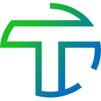 Telengy Management & Advies logo - Similar company to Fdo Consultancy