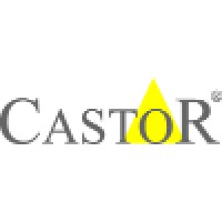 Castor Diseño Y Construccion Sa De Cv